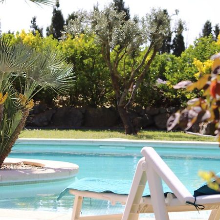 فندق Vilajuigaفي  Casa Gecko المظهر الخارجي الصورة